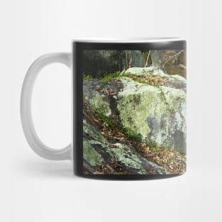 Boulder with lichen Mug